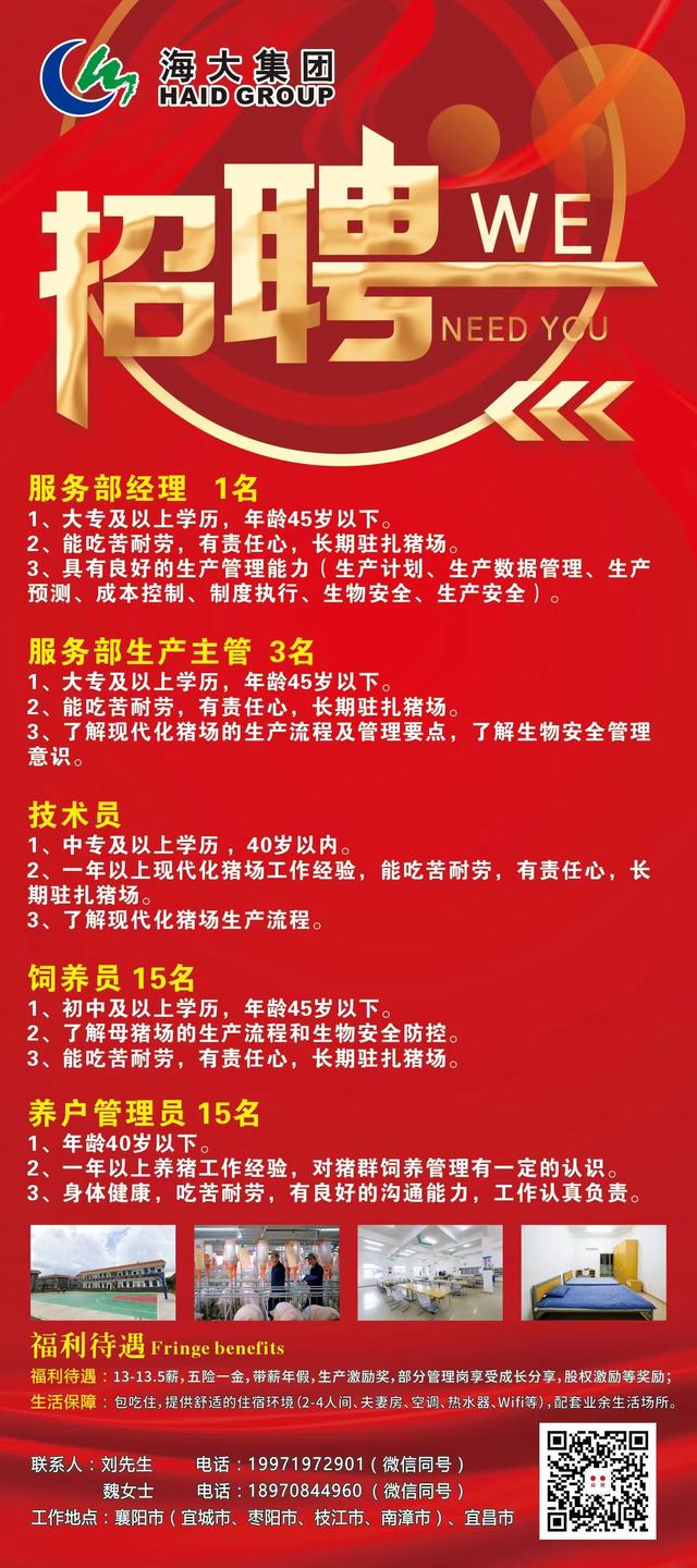 嘎娄最新招聘信息与职业发展趋势深度探讨