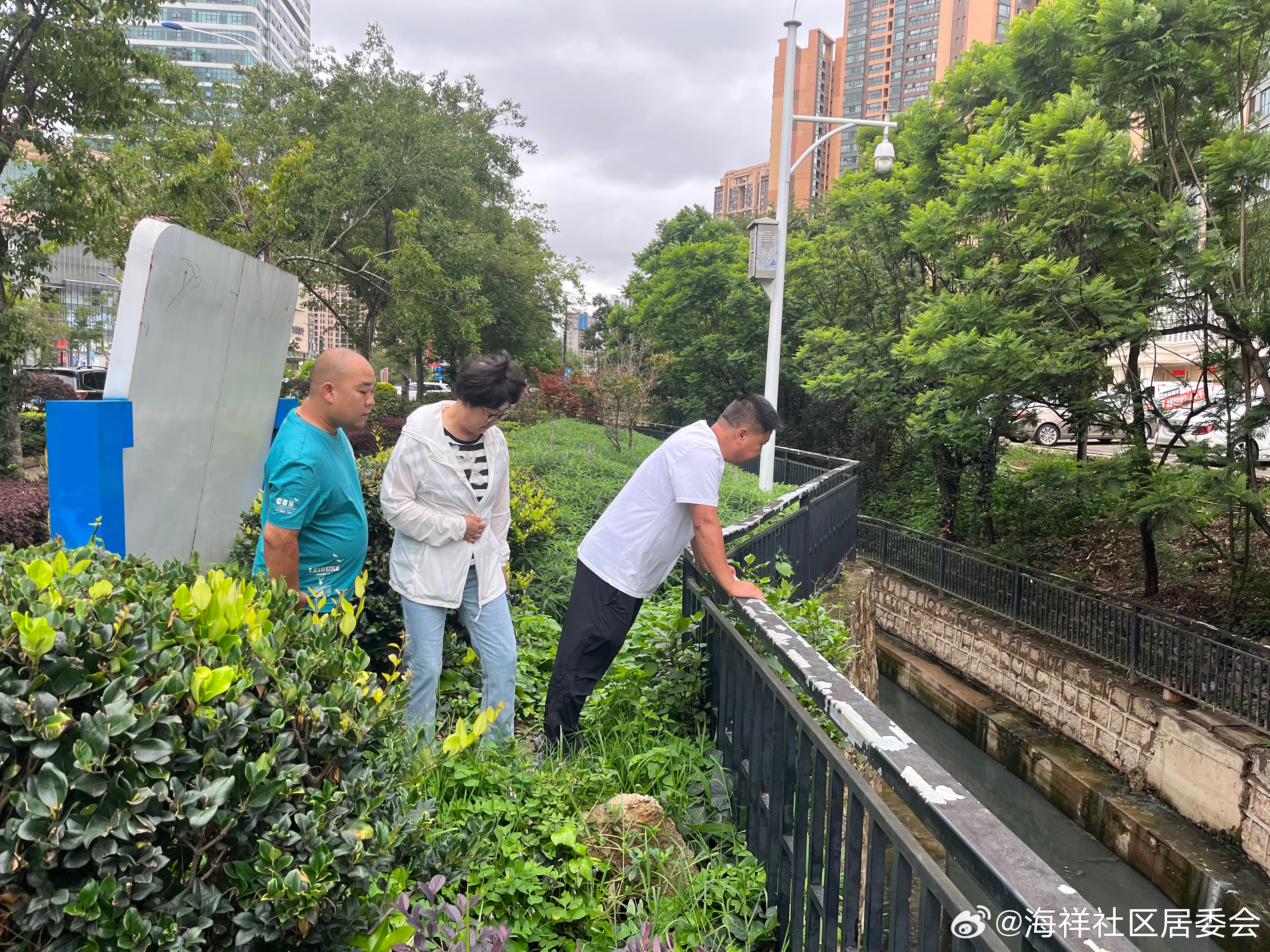 排洪沟南路社区居委会启动新项目重塑社区环境，提升居民生活质量