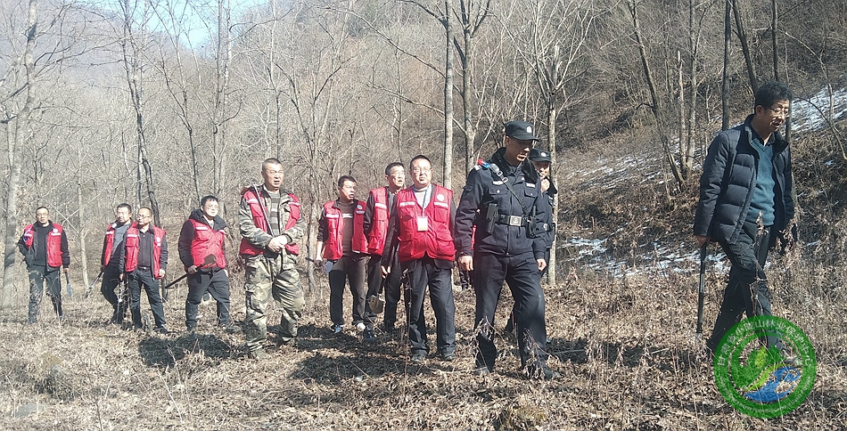 太东林场最新新闻速递