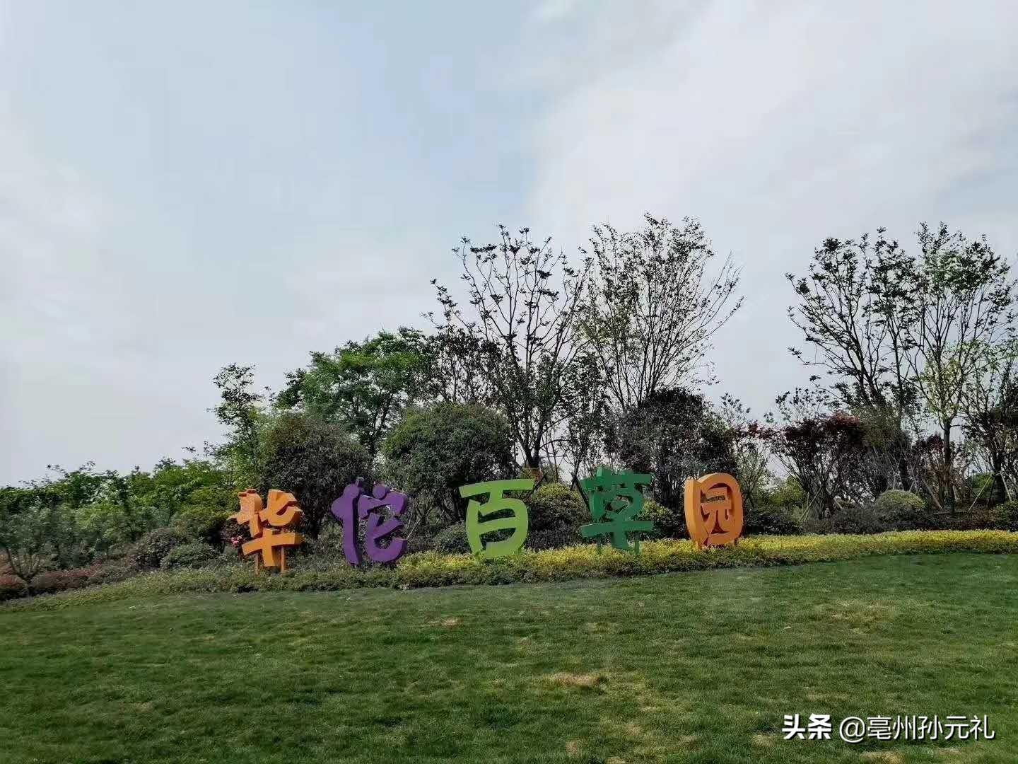 华佗镇最新新闻，古镇新面貌与发展动态揭秘