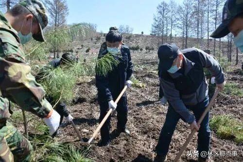 沾河林业局天气预报更新