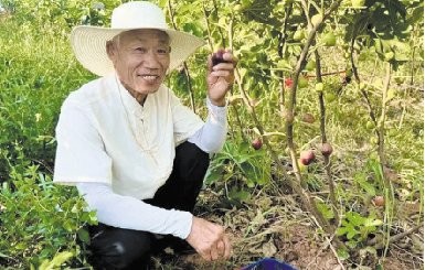 大连华侨果树农场领导团队引领农场迈向新高度发展之路