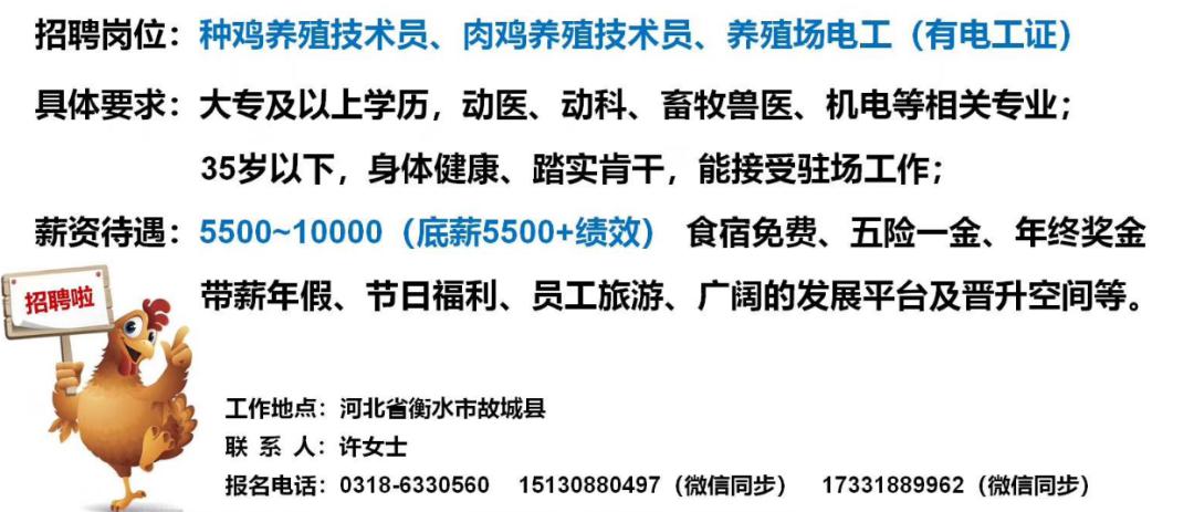 邳城农场最新招聘信息及相关内容深度解析