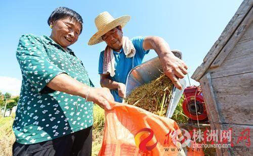 炎陵县农业农村局新项目推动农业现代化助力乡村振兴