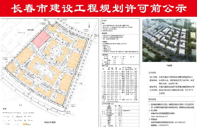 2024年12月10日 第29页