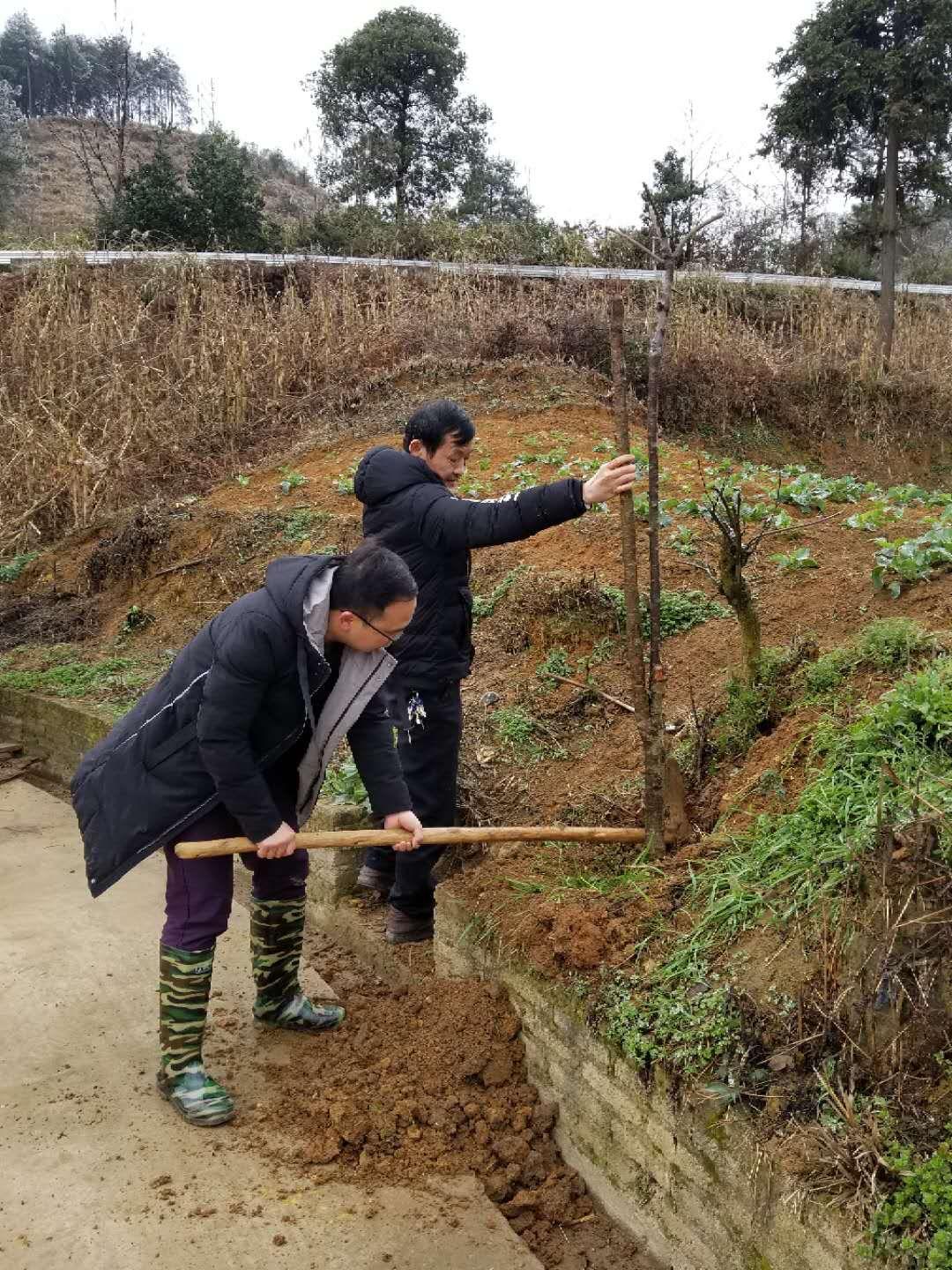 麻江县交通运输局最新发展规划概览