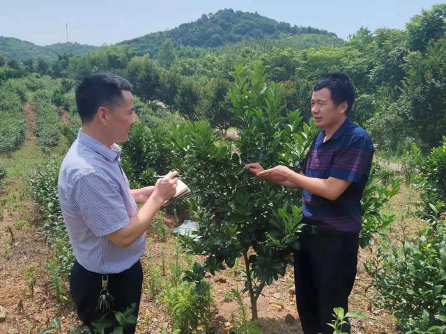 汉南区住房和城乡建设局领导团队最新概述