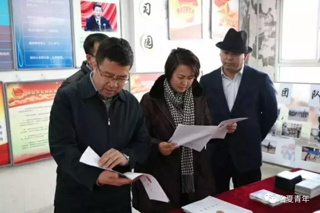 临夏回族自治州共青团市委最新项目，引领青年力量，共筑美好未来