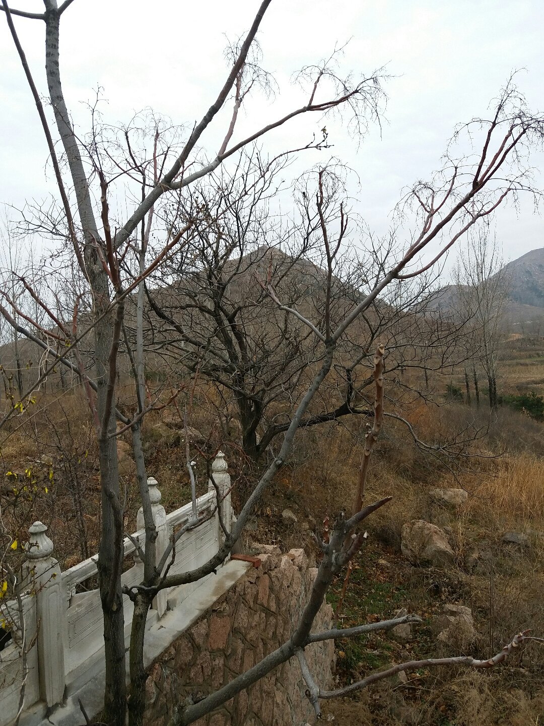 栗山镇天气预报更新通知