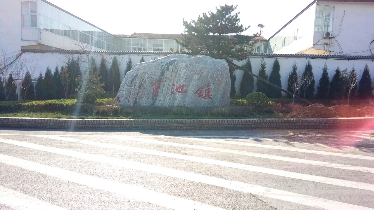 山西省晋城市阳城县芹池镇最新项目，引领地区发展的强大引擎