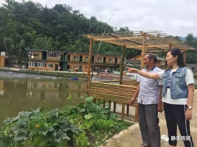 雨城区自然资源和规划局新项目推动区域可持续发展