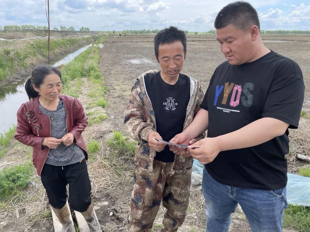 格尼河农场最新人事任命，引领农场走向新的辉煌