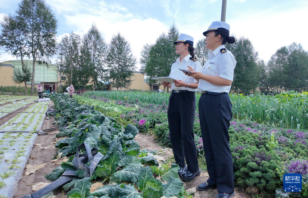 塘巴村最新新闻