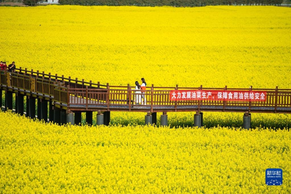 十美堂镇最新项目，乡村振兴的新引擎