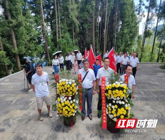 茨岩塘镇最新发展规划，塑造未来繁荣蓝图