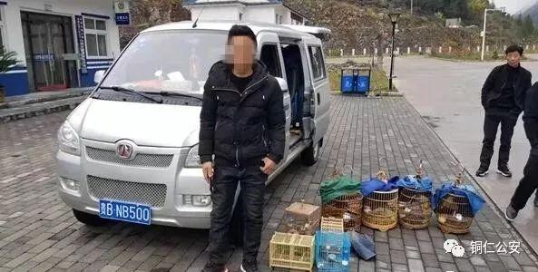 酉阳土家族苗族自治县交通运输局最新领导团队概述